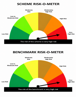 Scheme Risk-O-Meter